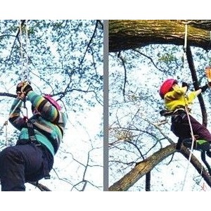 福州青少年爱上爬树课 既练胆量又练技巧