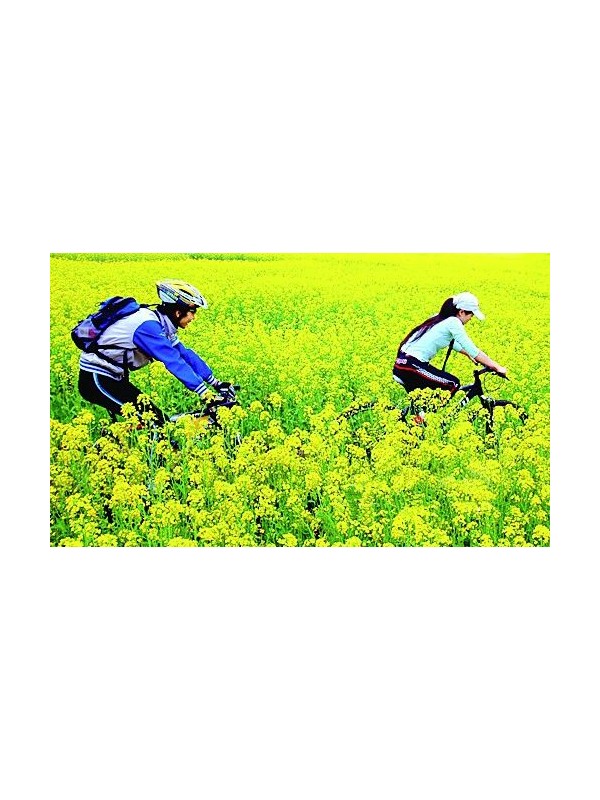 新鲜自助出游方式增加旅途乐趣与幸福感