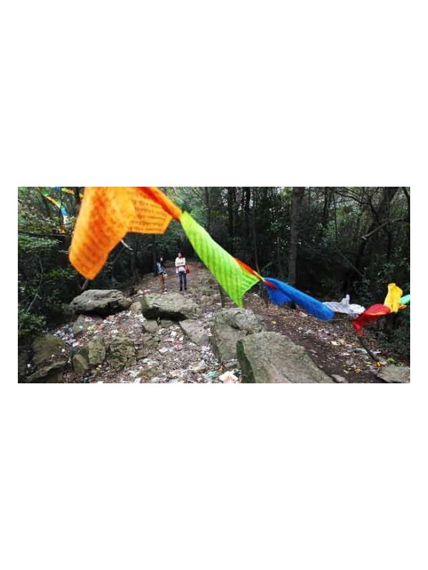 游客登岳麓山走小路需注意安全和环保
