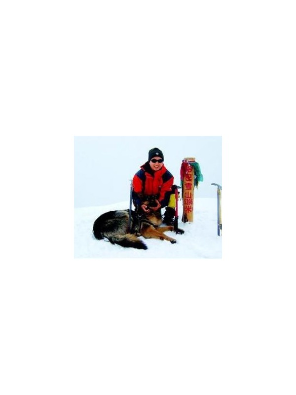 有只"打酱油"的狗 陪登山队登上6020米雪山
