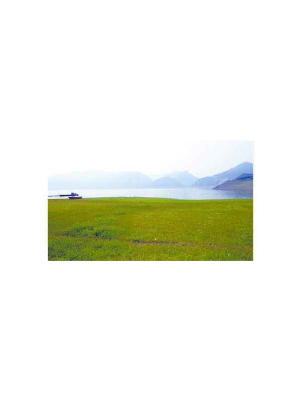 驴友乱丢垃圾 北方香格里拉环境遭破坏