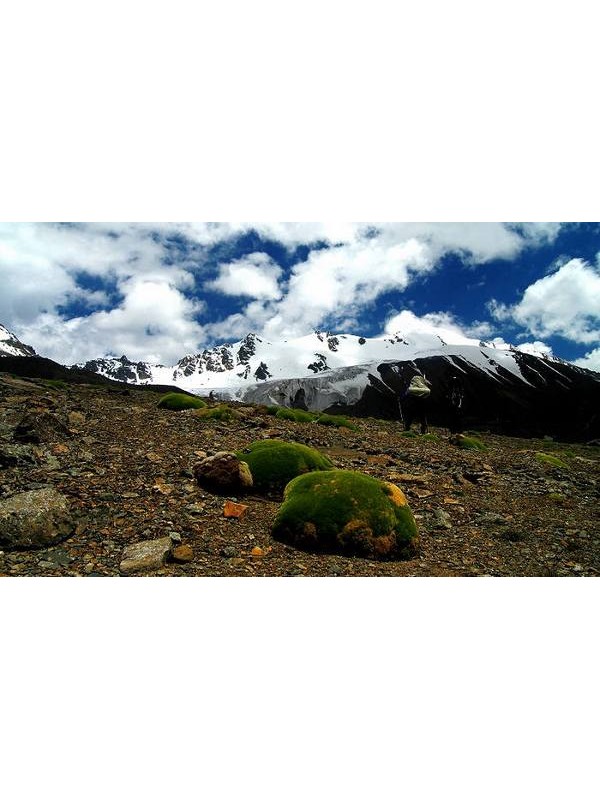 岗什卡滑雪登山交流大会上的专用马队