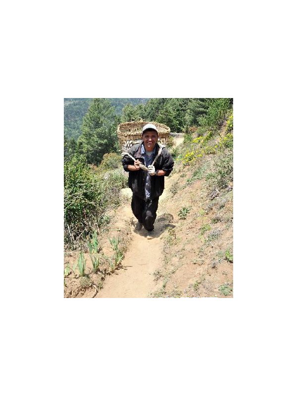 世界屋脊环卫工：每天从珠峰背下垃圾