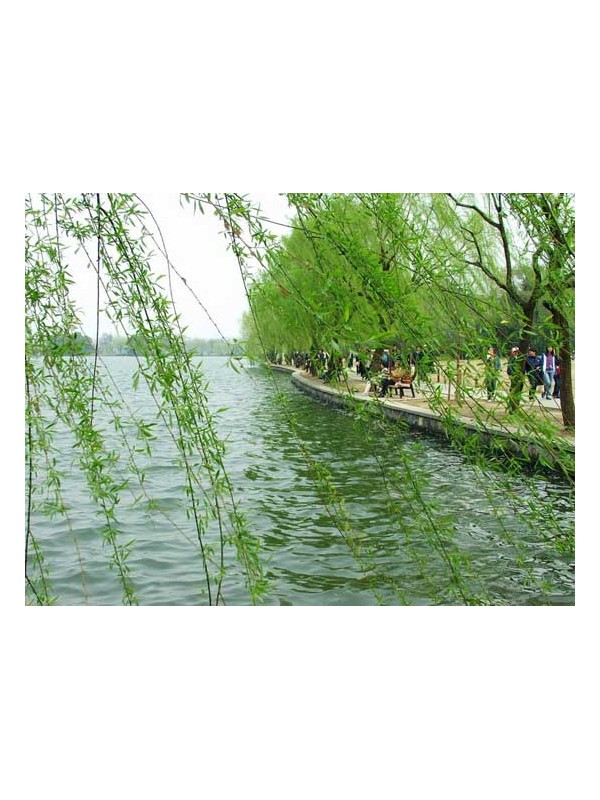 夏日避暑游 北京密云四大玩水好去处