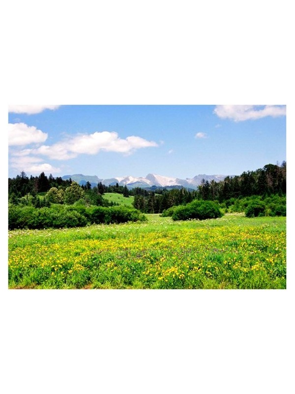 亲近自然关爱生命“叶伴我行”・2012 Lafuma登山季拥抱长白山