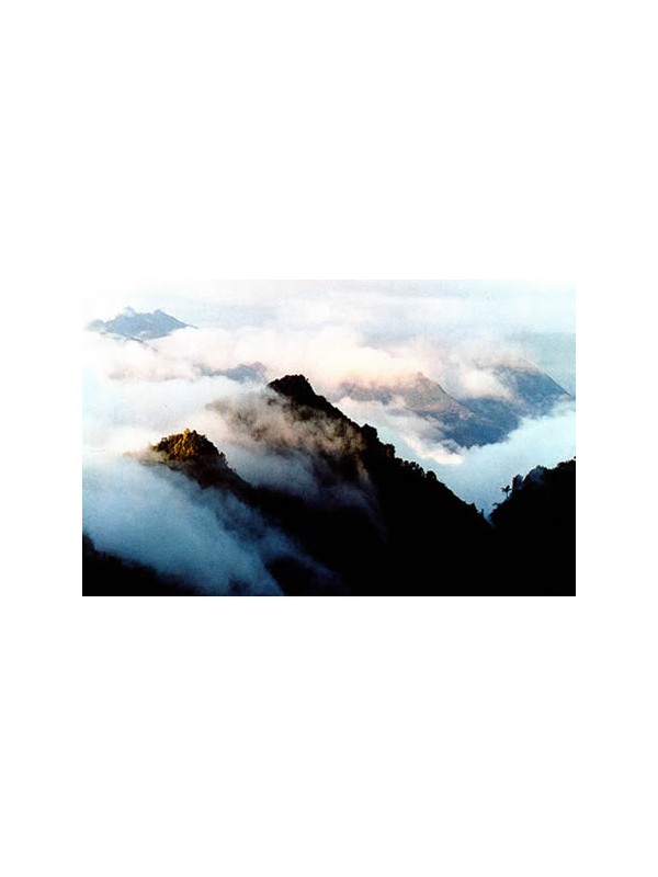 宜昌首届大王岩登山挑战赛周日开赛