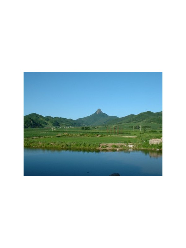 黑龙江春季万人徒步登山健身活动5月19日举行