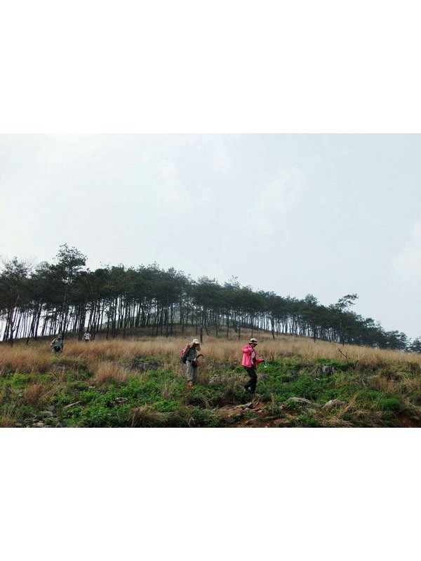 襄阳15名驴友被困深山9小时获救