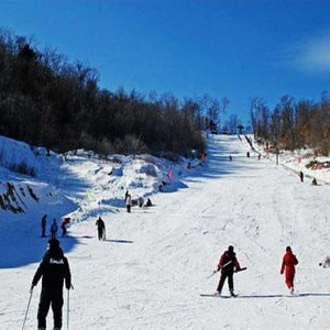 亚布力滑雪遇烦心事 教练强收小费令游客寒心