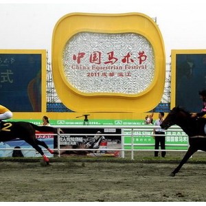盘点2011马术界的精品活动