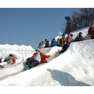 韩国2012太白山雪花节27日已启幕