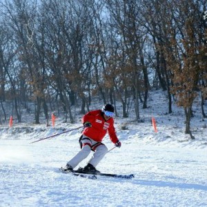 吉林承办4项国际大赛 自由式滑雪世界杯2月开幕