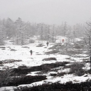 太白山近期降雪量大 山民：春节驴友慎上太白山