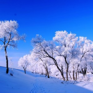 吉林国际雾凇冰雪节27日隆重开幕