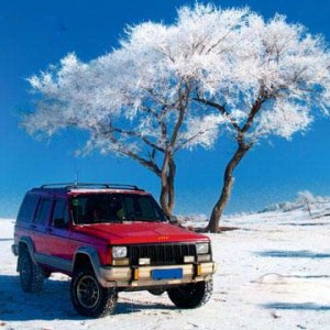 元旦三天小长假 自驾赏雪泡温泉