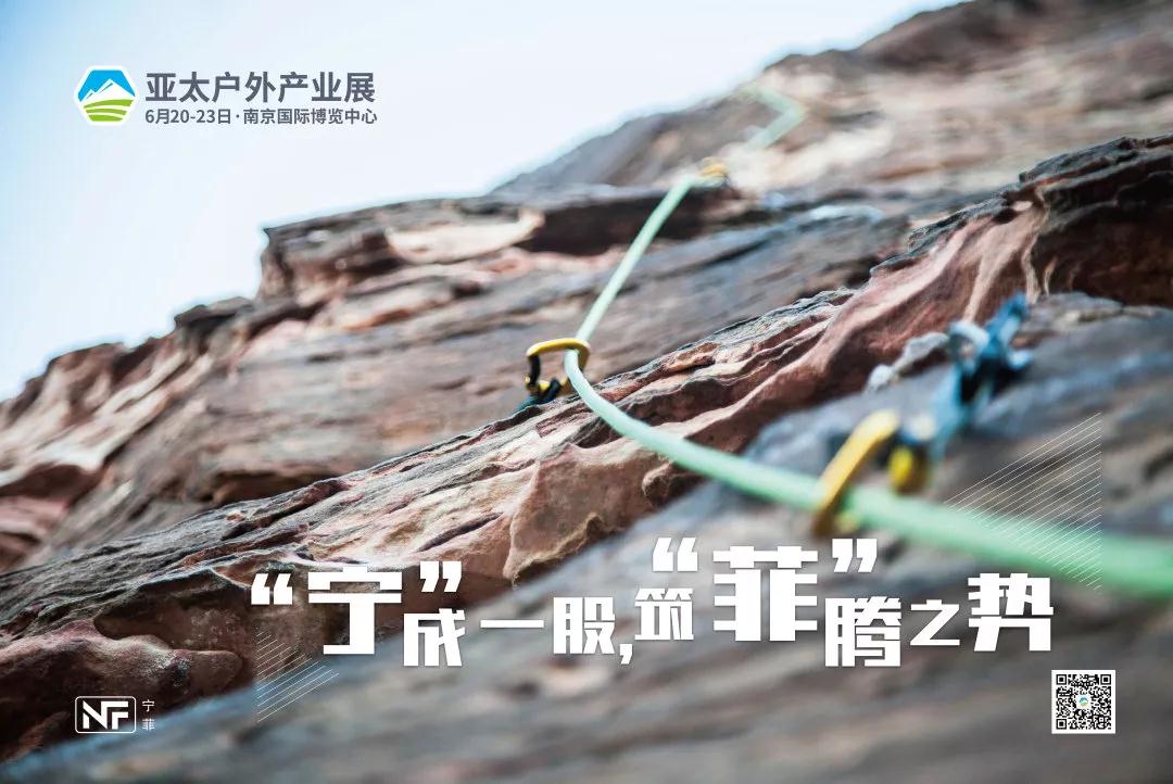 宁菲公司：“宁”成一股，筑“菲”腾之势